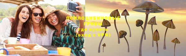 прущие грибы Лагань