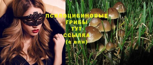 2c-b Лиски