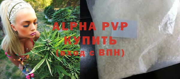 PSILOCYBIN Лихославль