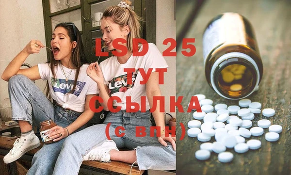 PSILOCYBIN Лихославль