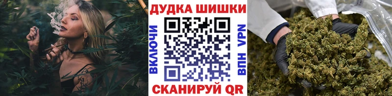 Конопля сатива  кракен маркетплейс  Олонец 